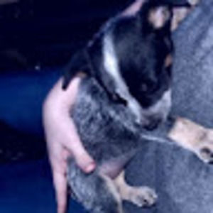 Meet your Posher, Kaley